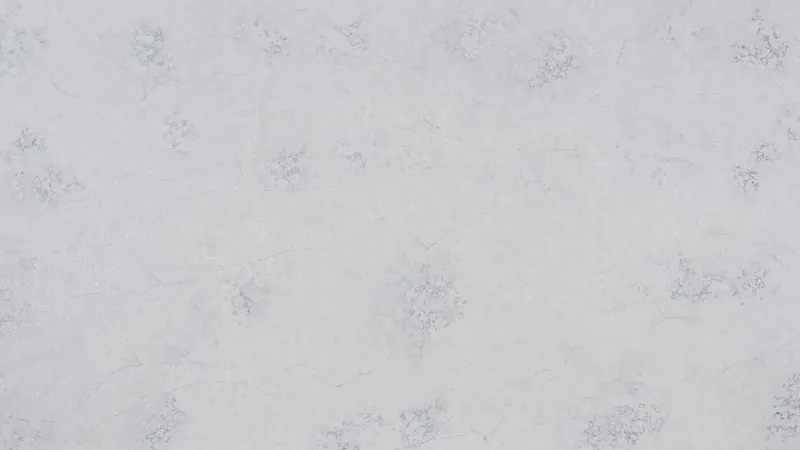 Pale gray quartz slab sample with subtle crackled veining pattern